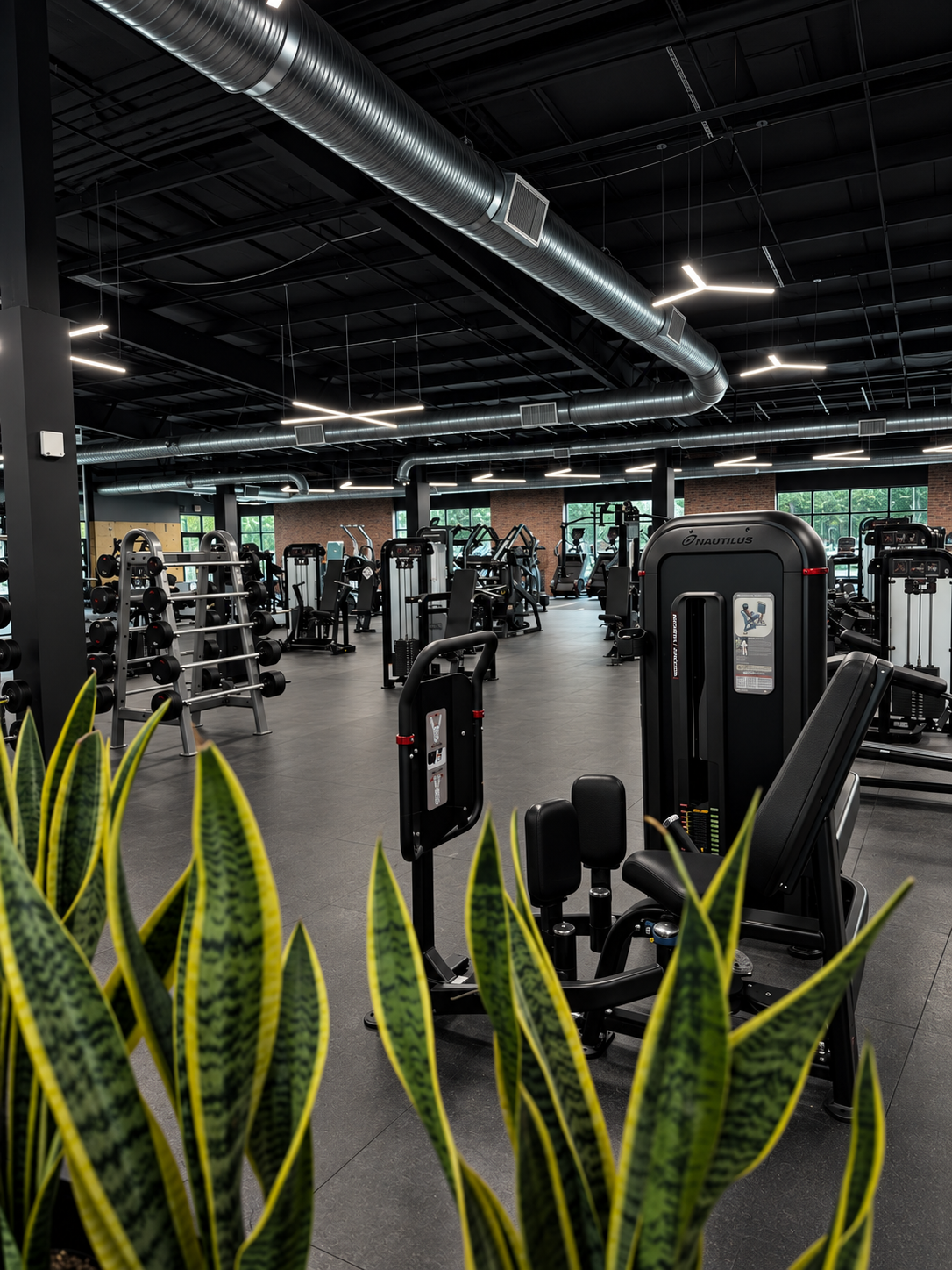Strength floor at FITNATION ATHLETICS, a modern gym in Kenvil, New Jersey
